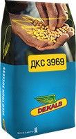 Насіння кукурудзи ДКС 3969 ФАО 330