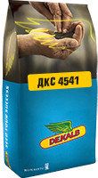 Насіння кукурудзи ДКС 4541 ФАО 380