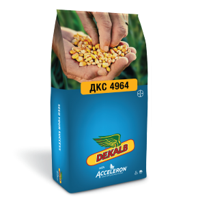 Насіння кукурудзи ДКС 4964 ФАО 380
