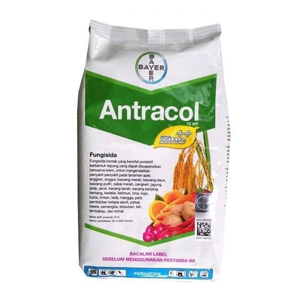 Фунгіцид Антракол, 70 WP, ЗП, 10кг (Bayer)