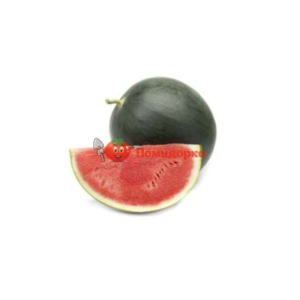 Арбуз БАРОНЕССА F1 | BARONESA F1 Rijk Zwaan, Фасовка - 1000 семян