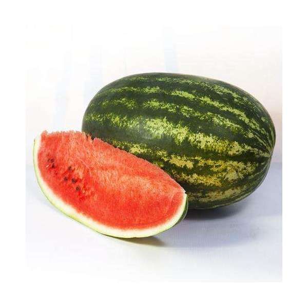 Арбуз БОНД F1|BOND F1 Cora Seeds, Фасовка - 1000 семян