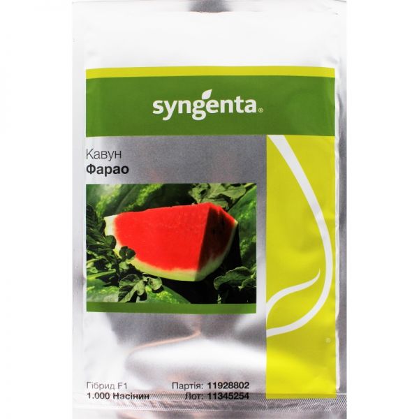 Арбуз ФАРАО F1 | FARAO F1 Syngenta, Фасовка - 1000 семян