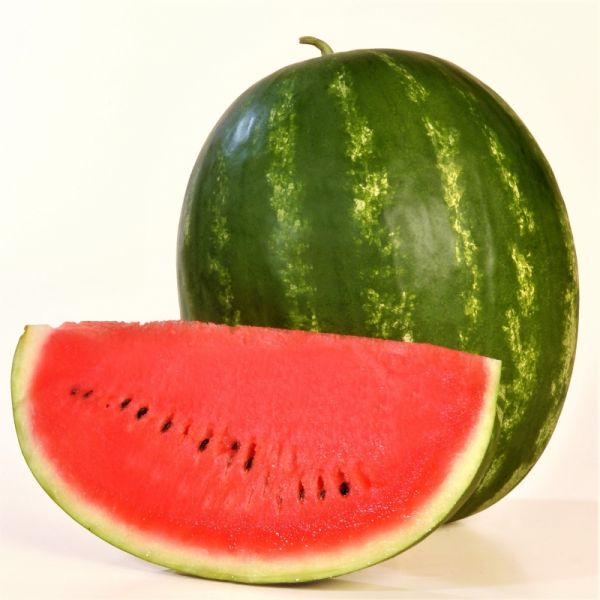 Арбуз КАРИСТАН F1 | KARISTAN F1 Syngenta, Фасовка - 1000 семян