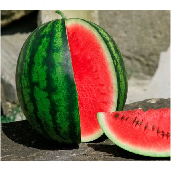 Арбуз Ливия F1 | Liviya F1 Clause, Фасовка - 1000 семян