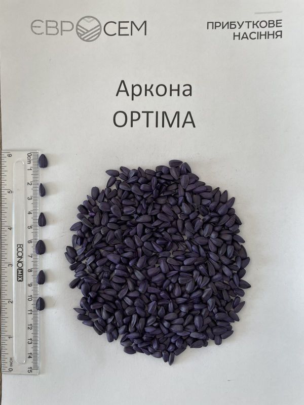 Насіння соняшника АРКОНА СУМО(NS VLSP) оптимум 8-9кг