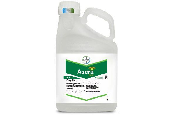 Фунгіцид Аскра Хпро 260 ЕС,КЕ, 5 л (Bayer)