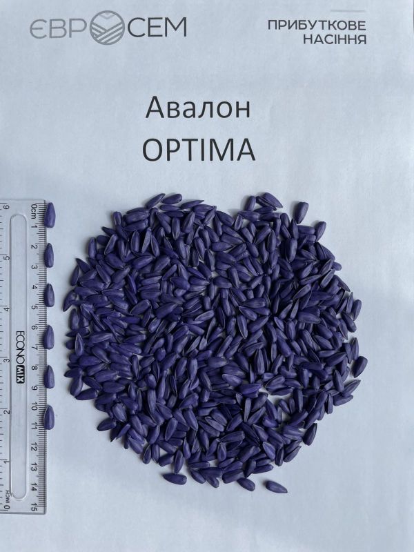 Насіння соняшника АВАЛОН (NS 6046) Класичний - преміум 9-12кг (Євросем)
