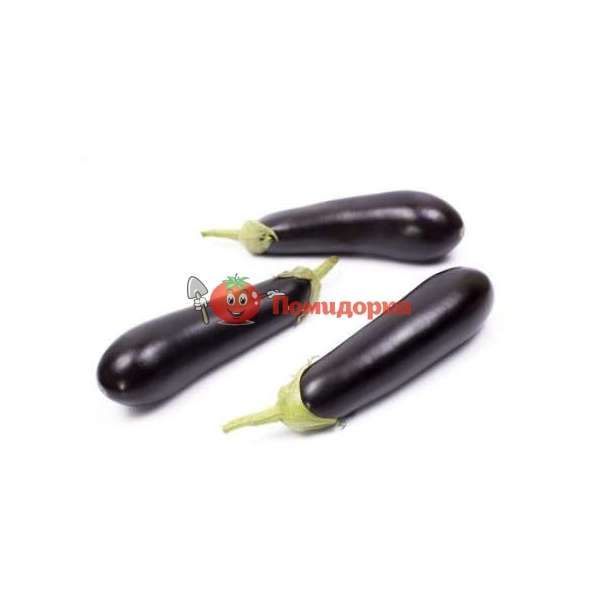 Баклажан БРИДЖИТ F1 | BRIGITTE F1 Rijk Zwaan, Фасовка - 1000 семян