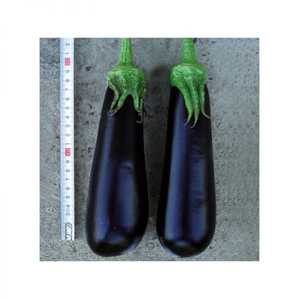 Баклажан Фабина F1 | Fabina F1 Clause, Фасовка - 5 гр