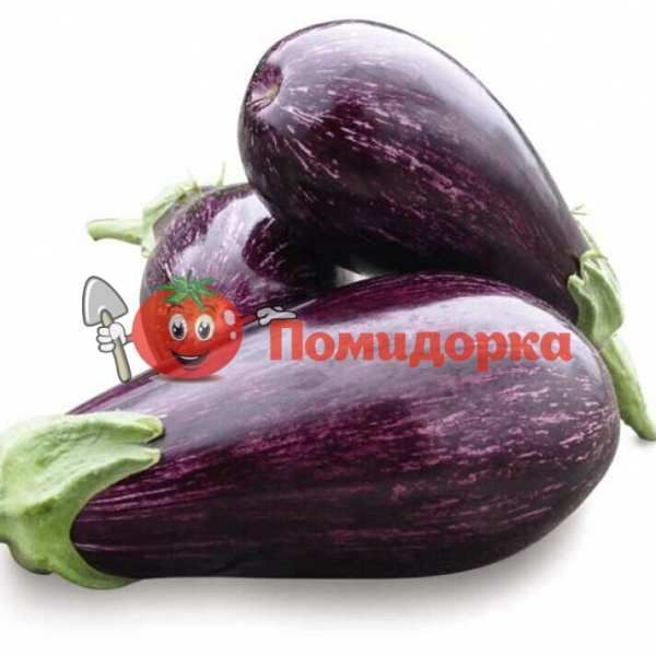 Баклажан ЛЕЙРЕ F1 | LEIRE F1 Rijk Zwaan, Фасовка - 1000 семян