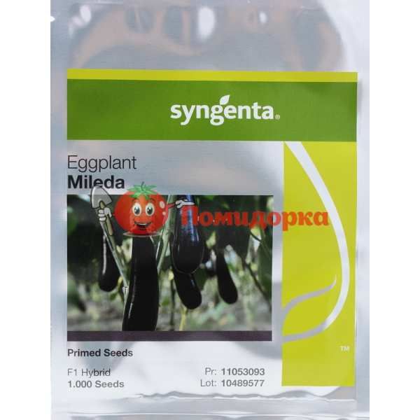 Баклажан МИЛЕДА F1 | MILEDA F1 Syngenta, Фасовка - 1000 семян