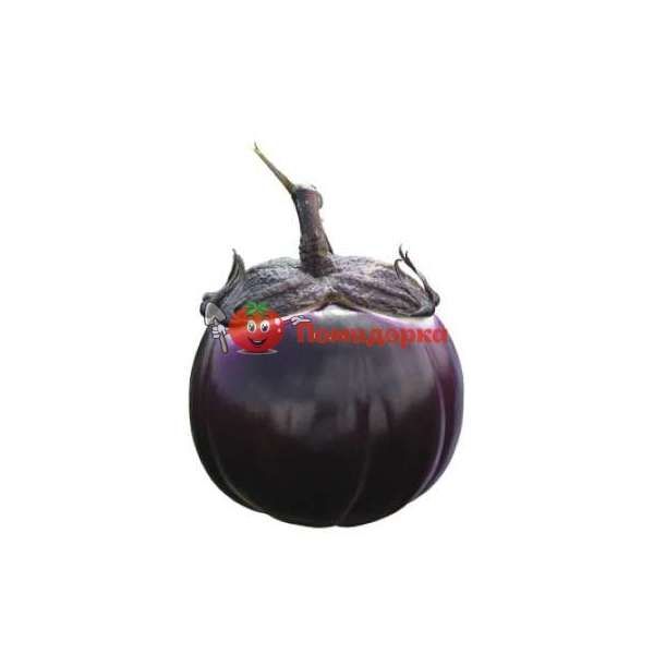 Баклажан САБЕЛЛЕ F1 | SABELLE F1 Rijk Zwaan, Фасовка - 1000 семян