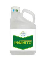 Фунгіцид Інфініто, 687,5 SC, КС, 5 л (Bayer)
