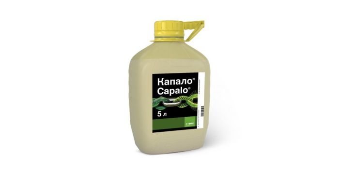 Фунгіцид Капало, СЕ, 5л (BASF)