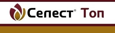 Протруйник Селест Топ 312.5 т.к.с., 5л (Syngenta)
