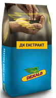 Насіння озимого ріпаку ДК ЕКСТРАКТ