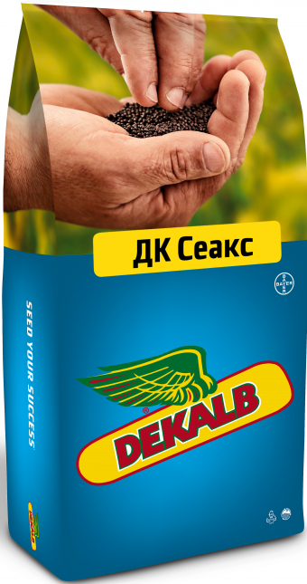 Насіння озимого ріпаку DK SEAX (ДК СЕАКС)