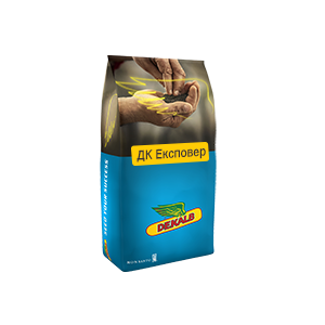 Насіння озимого ріпаку DK Expower (ДК Експовер)