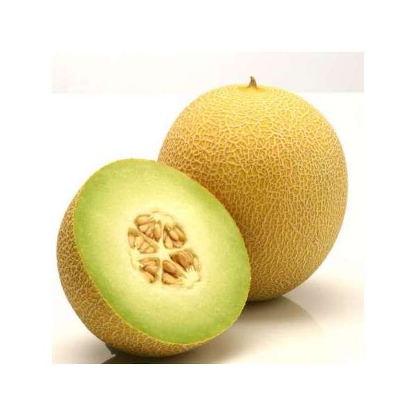 Дыня ДЖУКАР F1 | DJUCAR F1 Rijk Zwaan, Фасовка - 1000 семян