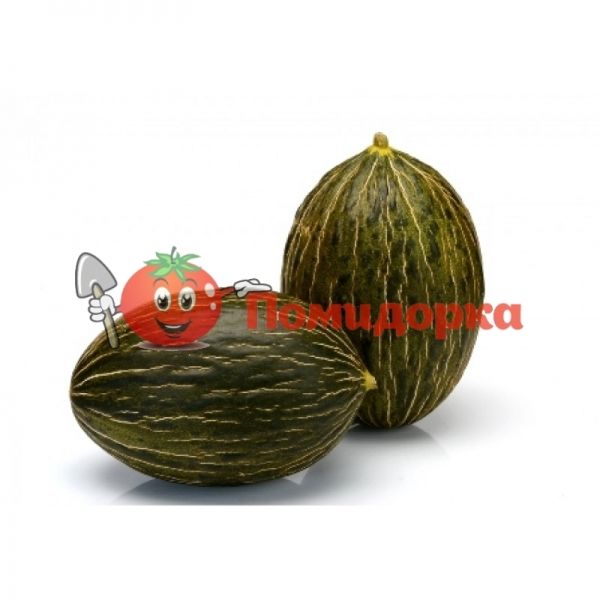 Дыня МЕСУРА F1 | MESURA F1 Rijk Zwaan, Фасовка - 1000 семян