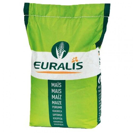 Насіння кукурудзи ЄС КАТМАНДУ (Euralis) ФАО - 230