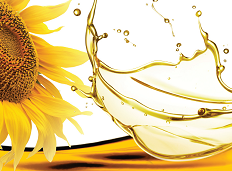 Насіння соняшника Таленто під Євролайтінг (Syngenta) CRUISER+FORCE