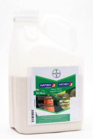 Фунгіцид Натіво, 75 WG, ВГ, 2 кг (Bayer)