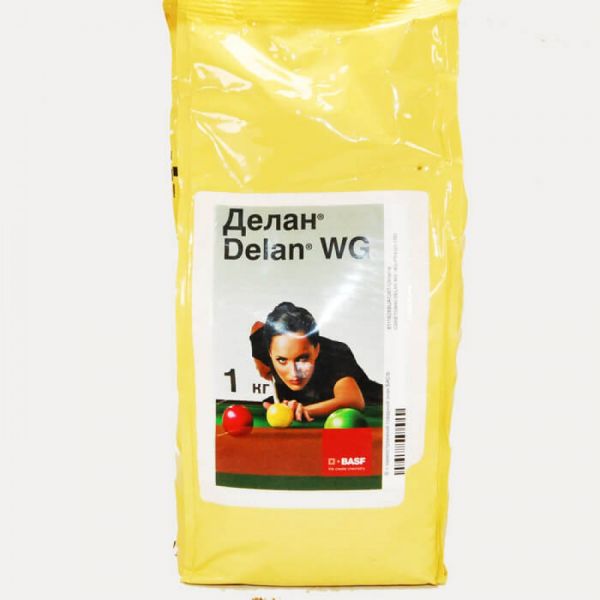 Фунгіцид Делан, ВГ, 1 кг (BASF)
