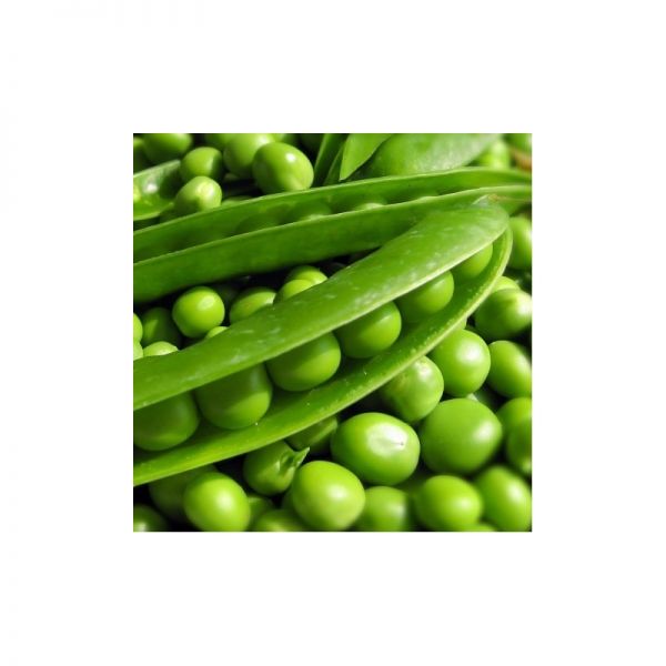 Горох СОМЕРВУД | SOMERWOOD Syngenta, Фасовка - 100 000 семян