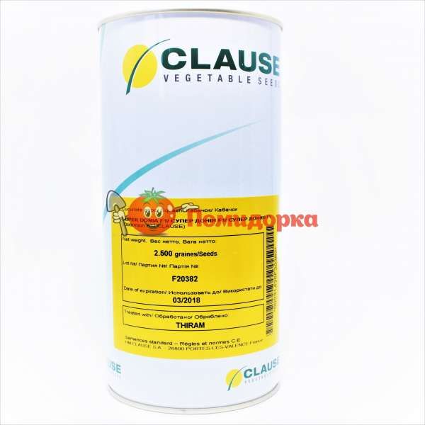 Кабачок Супер Дония F1 | Super Doniya F1 Clause, Фасовка - 500 семян