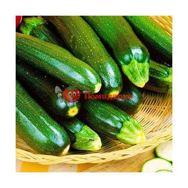 Кабачок Тармино F1 | Tarmino F1 Clause, Фасовка - 500 семян