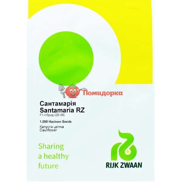 Капуста цветная САНТАМАРИЯ F1 | SANTAMARIA F1 Rijk Zwaan, Фасовка - 2500 семян