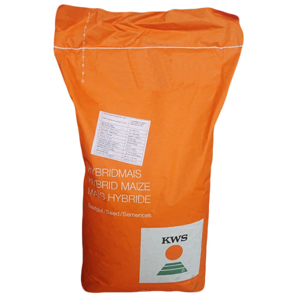 Насіння озимого ріпаку Альваро КВС Круїзер OSR