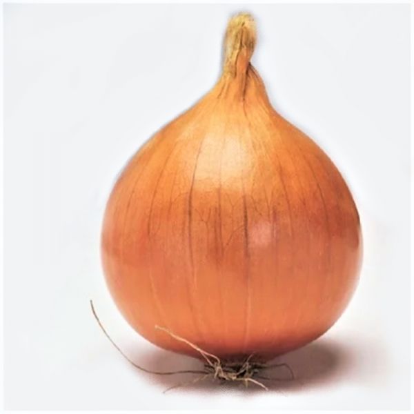 Лук репчатый МУНДО | MUNDO Syngenta, Фасовка - 250 000 семян