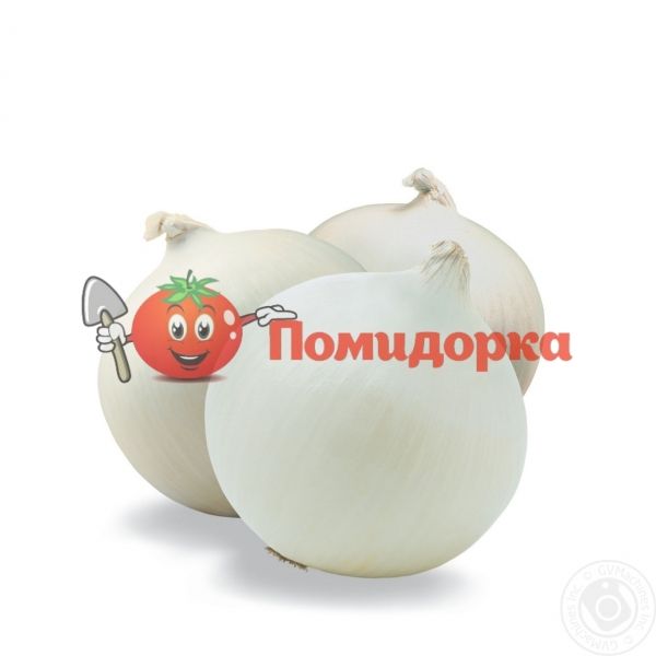 Лук озимый НЕВИКС F1 | NEVIX F1 Hazera, Фасовка - 1 кг