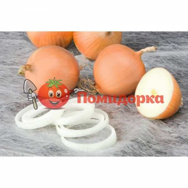 Лук ПЕСО F1 | PESO F1 Bejo, Фасовка - 250 000 семян