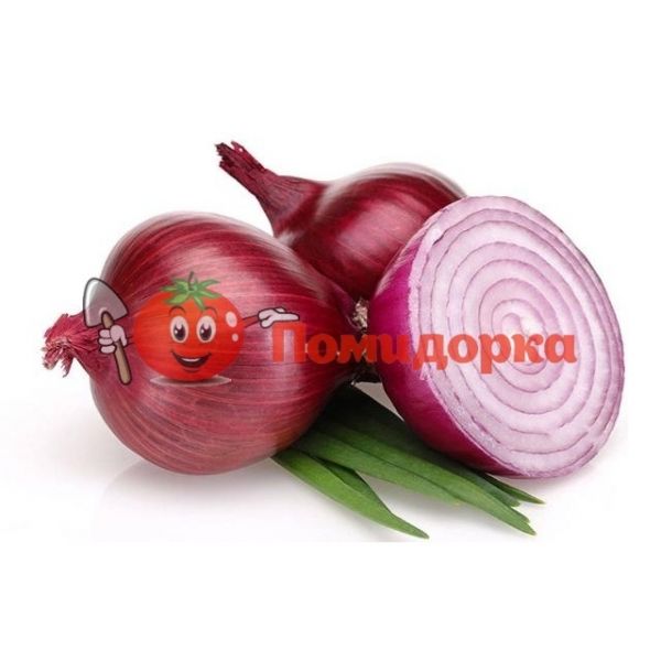 Лук РЕТАНО F1 | RETANO F1 Hazera, Фасовка - 250 000 семян