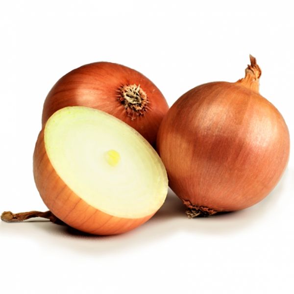 Лук репчатый ТЕМПТЕЙШН F1 | TEMPTEYHN F1 Syngenta, Фасовка - 250 000 семян