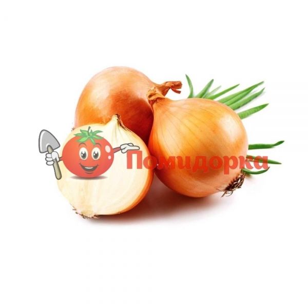 Лук ВИРДЖИЛИО F1 | VIRDJILIO F1 Hazera, Фасовка - 250 000 семян