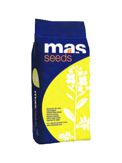 Насіння озимого ріпаку МІРАНДА (MIRANDA)