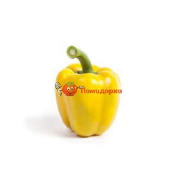 Перец БАЧАТА F1 | BACHATA F1 Rijk Zwaan, Фасовка - 1000 семян