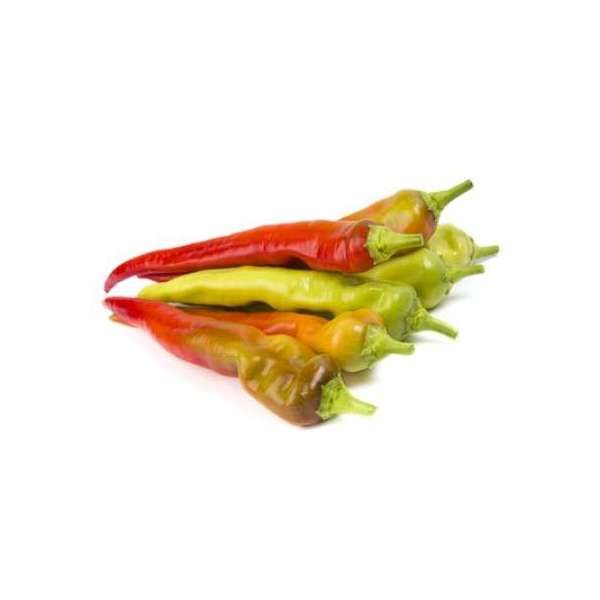 Перец ЯНКА F1 | YANKA F1 Rijk Zwaan, Фасовка - 100 семян