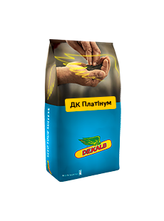 Насіння озимого ріпаку ДК ПЛАТІНУМ