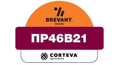 Насіння озимого ріпаку ПР46В21 (PR46W21)
