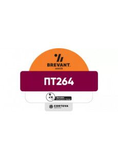 Насіння озимого ріпаку ПТ264 (PT264)