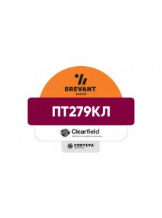 Насіння озимого ріпаку ПТ279КЛ (PT279CL)
