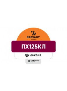 Насіння озимого ріпаку ПХ125КЛ (PX125CL)