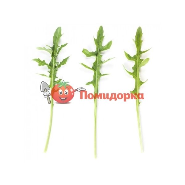 Руккола ТЕМИСТО | THEMISTO Rijk Zwaan, Фасовка - 1 000 000 семян