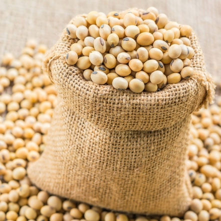 Соя ультра ранняя VS 00